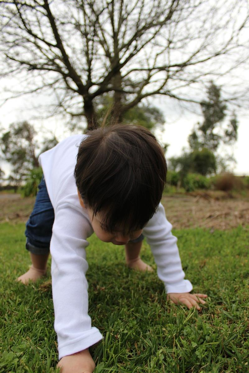 first steps