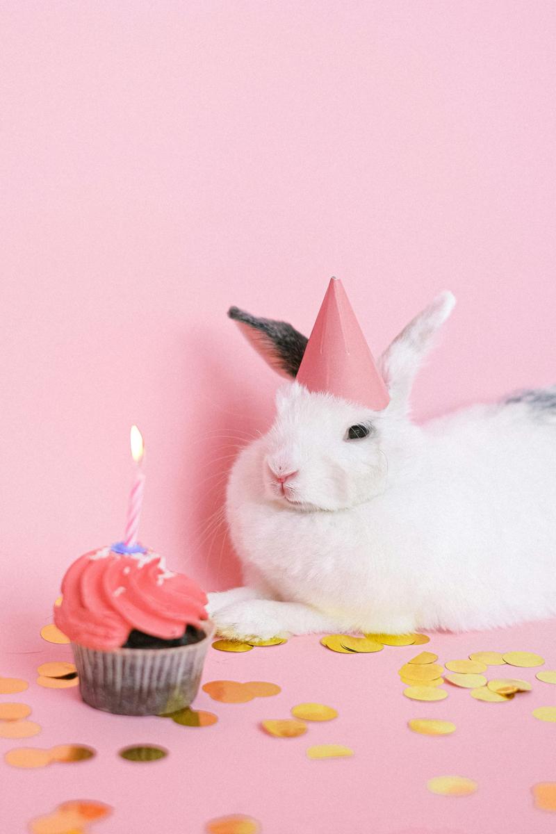 birthday celebration
